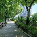 미추홀대로 이미지