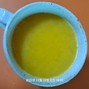 새싹의 아침 이미지