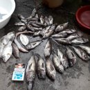 구조라방파제 이미지