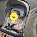 라방라방 | 폴레드 에어러브5 유모차 통풍시트 내돈내산 솔직 후기