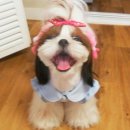 루나몽 | 루나몽 프릴청자켓