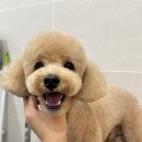 몽아뜨 이미지
