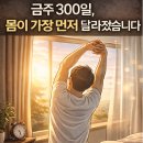 금주 | 금주 316일차 후기 금주효과
