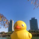 덕은데크 이미지