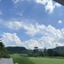 오투그린 이미지