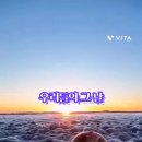 다밀림 이미지