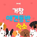칡캐는오미자농부민박 | 거창 애견동반 숙소 (펜션, 캠핑장, 민박) 정리