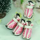 도기스쿨 이미지