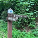 NR-24[대야로]-하-1 | [블랙야크 100대 명산_17/100] 경남 함양 황석산 :: 최단코스(우전마을)정보_주차 헷갈림 주의/네비 꿀팁