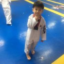 경희대동산태권도장 이미지