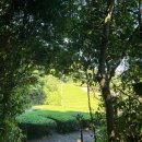 서광리-14 이미지