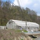 분당-253 이미지