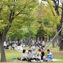 시민공원 남문 이미지