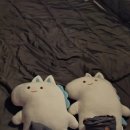 나산농협주유소화장실 | 덕동골캠핑장 벚꽃캠핑 추천 c4 (프리미엄 타프존 )사이트 , 매점, 모래놀이터