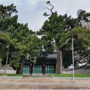 문정영당 티스토리