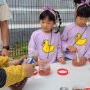 경상북도교육청김천오토캠핑장 이미지