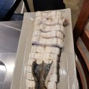 장어의힘 이미지