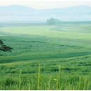 초록목장 이미지