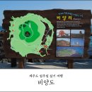 가북용암보건진료소 | [제주도일주일살기3일차] 한림항 애견동반 가능한 비양도 가을 낭만 여행후기