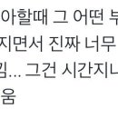 호프필리아 이미지