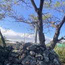 골왓마을방사탑 5호 이미지