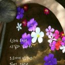 나폴리회식당