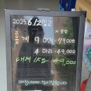평택 대게 맛집 추천 홍게모리 수산 식당
