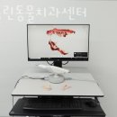 베를린 동물치과센터 이미지