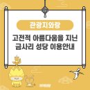 금사리 | 고전적 아름다움을 지닌 금사리 성당 이용안내