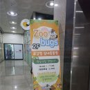 새들유치원 | 인천 대형 실내 동물원 쥬벅스 후기!