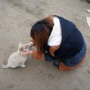 창연농장 이미지