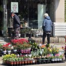 적성전통시장 버스정류장(1) | 아는 사람만 가는 파주 끝판왕 장터! 봄나물 봄꽃 사러 갔다 한우에 반한 파주 적성 5일장 주차부터 맛집