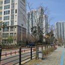 온빛초등학교병설유치원 이미지