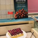 르노삼성자동차 서비스코너 춘천점 | 춘천 애슐리퀸즈 평일런치 방문후기 가족외식으로 추천해