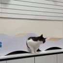 주식회사 제이인터네셔널 이미지