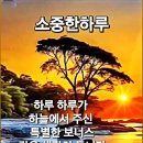 이씨미장 이미지