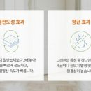 1도의 기적 이미지