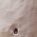 하우스못골 이미지