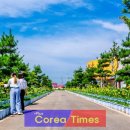 국화황토공원 이미지