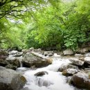 푸른숲황토방 이미지