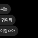 매일이기적