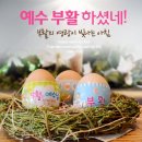 예수 부활에 대한 신학적 의미 이미지