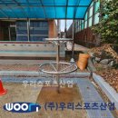 대구유천초등학교 네이버블로그