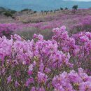 육신사(구) 이미지