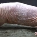 불로초등학교 이미지