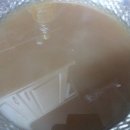 웰빙김치 만들기 이미지