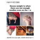 아산충무병원맛집 건강한 식사 추천 샐러데이즈