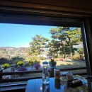 개좌길 | 안성 황태구이 더덕구이 맛집 솔향기 : 내돈내산