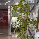 카페 뮬(CAFE MULE) 보문점