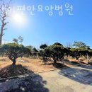 평택이편안요양병원 네이버블로그